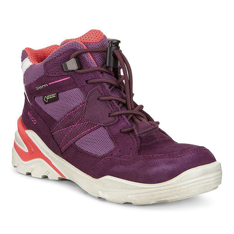 Kids Ecco Biom Vojage - Boots Purple - India SYLBQZ290